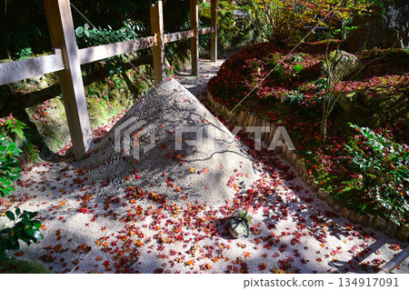 Nov 23 2025 Zen Garden at Hosen in Temple in Autumn 134917091