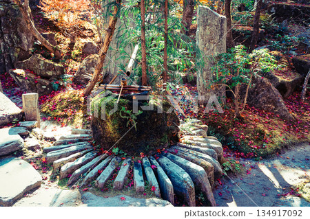 Nov 23 2025 Zen Garden at Hosen in Temple in Autumn 134917092