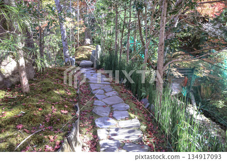 Nov 23 2025 Zen Garden at Hosen in Temple in Autumn 134917093