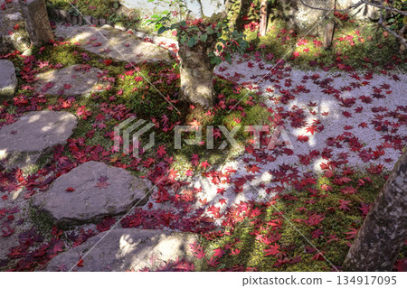 Nov 23 2025 Zen Garden at Hosen in Temple in Autumn 134917095