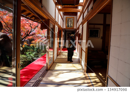 Nov 23 2025 Serene Hosen in Temple Garden in Kyoto Japan 134917098