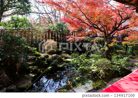 Nov 23 2025 Zen Garden at Hosen in Temple in Autumn 134917100