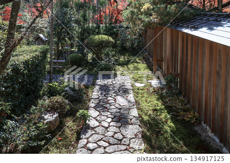 Nov 23 2025 Zen Garden at Hosen in Temple in Autumn 134917125