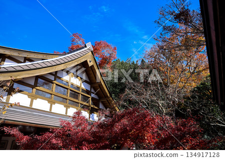 Nov 23 2025 Serene Hosen in Temple Garden in Kyoto Japan Nov 23 2025 Serene Hosen in Temple Garden in Kyoto Japan 134917128