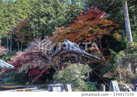 Nov 23 2025 Zen Garden at Hosen in Temple in Autumn Nov 23 2025 Zen Garden at Hosen in Temple in Autumn 134917139