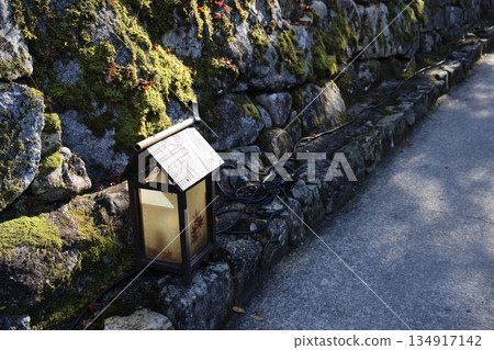 Nov 23 2025 Serene Hosen in Temple Garden in Kyoto Japan 134917142