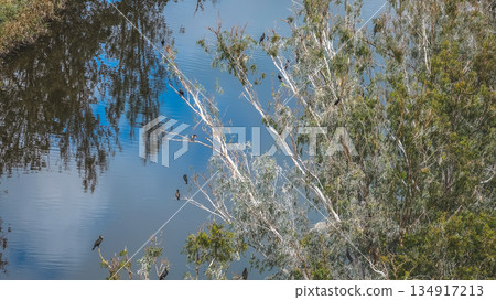 Dec 20 2025 Nam Sang Wai Wetland With Calm Reflective Water Surface Dec 20 2025 Nam Sang Wai Wetland With Calm Reflective Water Surface 134917213
