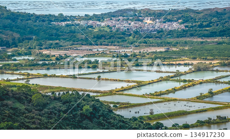 Dec 20 2025 Aerial View Of Fung Lok Wai Fish Ponds Landscape Dec 20 2025 Aerial View Of Fung Lok Wai Fish Ponds Landscape 134917230