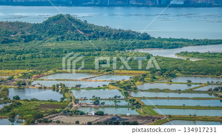 Dec 20 2025 Aerial View Of Fung Lok Wai Fish Ponds Landscape Dec 20 2025 Aerial View Of Fung Lok Wai Fish Ponds Landscape 134917231