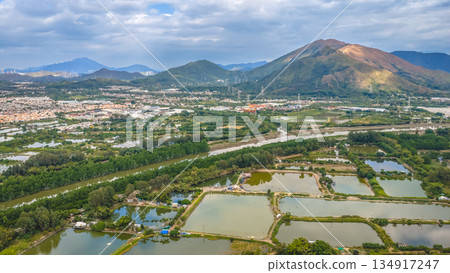 Dec 20 2025 Nam Sang Wai Wetland With Calm Reflective Water Surface Dec 20 2025 Nam Sang Wai Wetland With Calm Reflective Water Surface 134917247