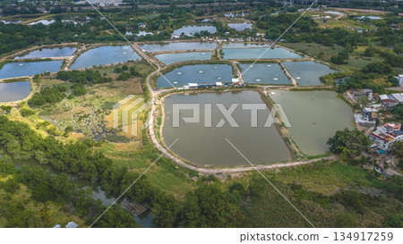 Dec 20 2025 Nam Sang Wai Wetland With Calm Reflective Water Surface Dec 20 2025 Nam Sang Wai Wetland With Calm Reflective Water Surface 134917259