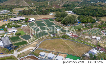 Dec 20 2025 Scenic Kam Tin Farm With Green Fields And Trees 134917297