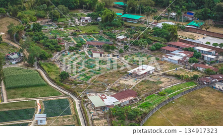 Dec 20 2025 Scenic Kam Tin Farm With Green Fields And Trees 134917323