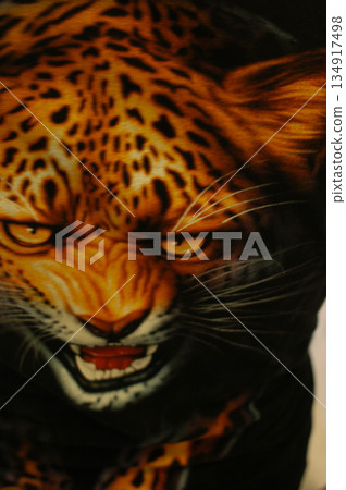 Tiger Doll on Display in Showcase Tiger Doll on Display in Showcase 134917498