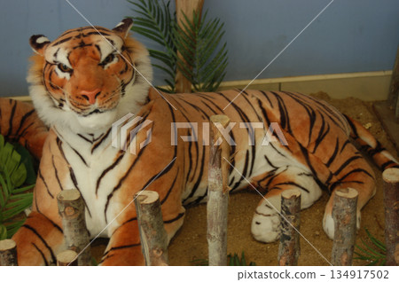 Tiger Doll on Display in Showcase Tiger Doll on Display in Showcase 134917502