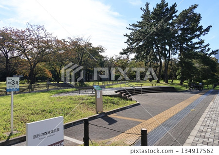 Landscape of Tsubaki Forest Green Path Park Landscape of Tsubaki Forest Green Path Park 134917562