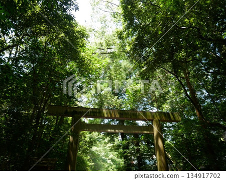 Beautiful view of Ise Shrine Beautiful view of Ise Shrine 134917702