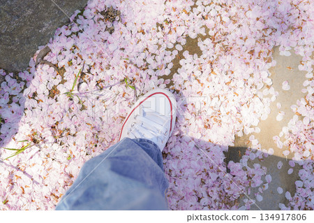 Walking on Cherry Blossom Path Wearing Jeans and White Sneakers 134917806