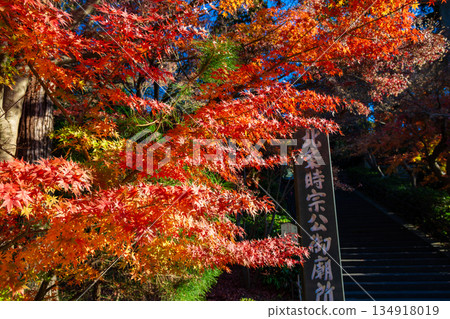 秋季鎌倉圓覺寺的道路，四周環繞著落葉。 134918019