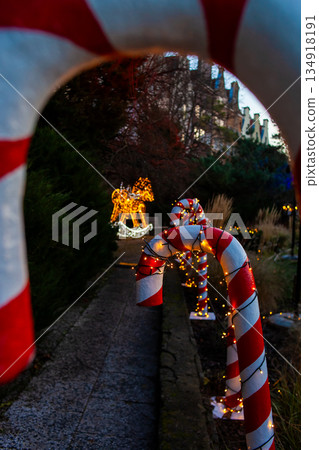 Colorful candy canes with lights line the path in a festive holiday setup Colorful candy canes with lights line the path in a festive holiday setup 134918191