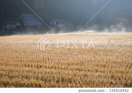 Morning rice field scenery in Geihoku Hosomi district Morning rice field scenery in Geihoku Hosomi district 134918492