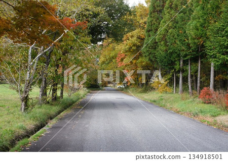 前往藝北八幡自然博物館的路上的紅葉 134918501