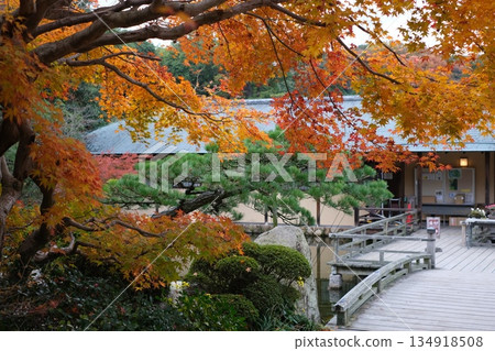 Shiomi-tei and autumn leaves at Sankeien Garden Shiomi-tei and autumn leaves at Sankeien Garden 134918508