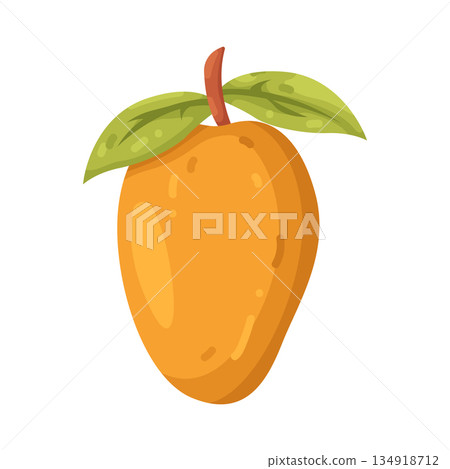 Illustration of mango Illustration of mango 134918712