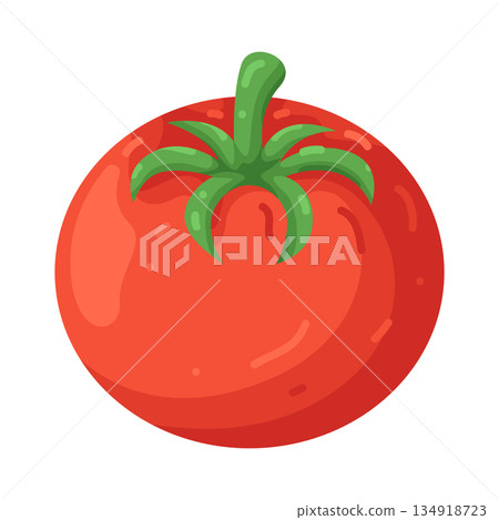 Illustration of tomato 134918723