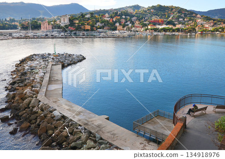 Panoramic view with breakwater overlooking sea in Liguria, Rapallo, Italy. Park, nature, exotic plants. Design backdrop. Panoramic view with breakwater overlooking sea in Liguria, Rapallo, Italy. Park, nature, exotic plants. Design backdrop. 134918976