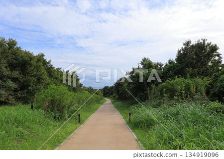 東京都江東區海之森公園 東京都江東區海之森公園 134919096