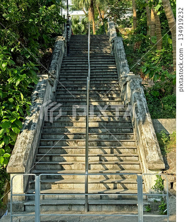Long stone staircase leading upwards through lush green foliage and palm trees 134919232