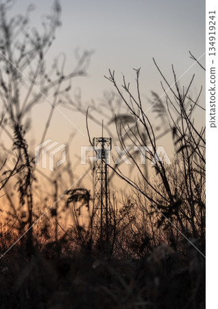 The silhouette of a radio tower towering over dead grass at dusk in winter The silhouette of a radio tower towering over dead grass at dusk in winter 134919241
