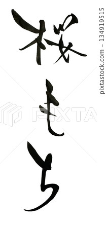 櫻花盛開 櫻花盛開 134919515