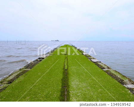 有明海的神秘發現：一條被海藻覆蓋的海底道路（熊本縣多名市） 134919542