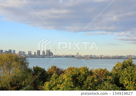 從東京江東區的海之森眺望東京市中心 134919627