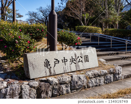 龜戶中央公園入口處的石碑(東京都江東區) 龜戶中央公園入口處的石碑(東京都江東區) 134919749