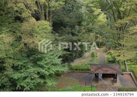 Higashitakane Forest Park, Kawasaki City, Kanagawa Prefecture 134919794