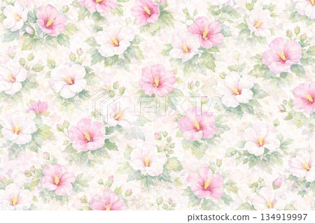 背景素材：木槿花 134919997