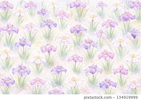 背景素材：鳶尾花 134919999
