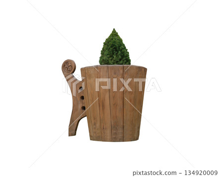 coniferous tree in container isolated on white background 134920009