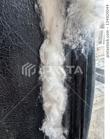 Close-up of raw wool fibers against a dark textured surface. Close-up of raw wool fibers against a dark textured surface. 134920044