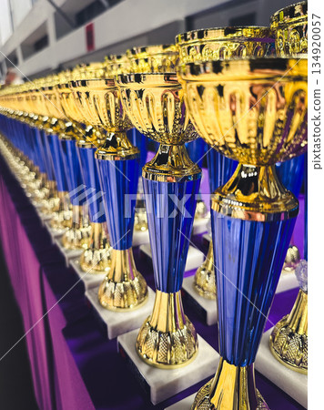 Row of golden and blue trophies displayed on a table. Row of golden and blue trophies displayed on a table. 134920057
