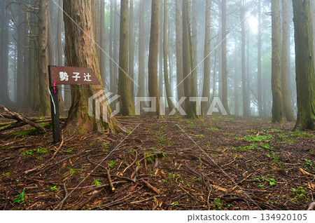 The high ridge of the Aitaka mountain range: Sekotsuji Senzokukami junction in the mountain mist 134920105