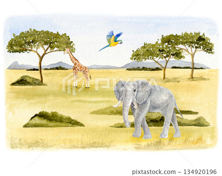 Giraffe by Acacia Tree, Walking Elephant, Flying Parrot, African Savanna Landscape Giraffe by Acacia Tree, Walking Elephant, Flying Parrot, African Savanna Landscape 134920196