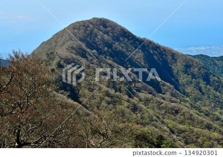 早春時節,從阿席達卡山脈的遊吹嶽山頂眺望大竹岳。 早春時節,從阿席達卡山脈的遊吹嶽山頂眺望大竹岳。 134920301