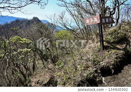 從高場莊山脊交會處眺望愛垂子山，仙女座花盛開，可見愛垂子山位於愛垂子山脈。 134920302