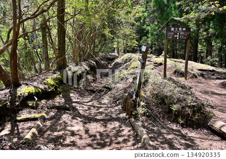 Mount Echizen in the Aitaka Mountains, Fujimi Pass with fresh greenery Mount Echizen in the Aitaka Mountains, Fujimi Pass with fresh greenery 134920335