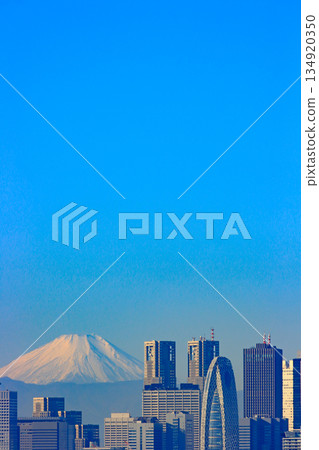 Shinjuku-ku, Tokyo, scenery of Mt. Fuji and Shinjuku subcenter skyscraper district 134920350