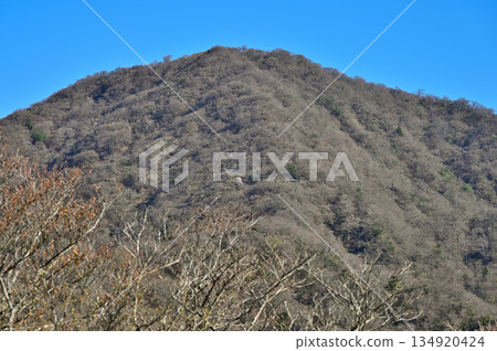 相高山脈的蓬萊山(Mount Horai);早春時節從天狗之旗展望台看到的越前山 相高山脈的蓬萊山(Mount Horai);早春時節從天狗之旗展望台看到的越前山 134920424